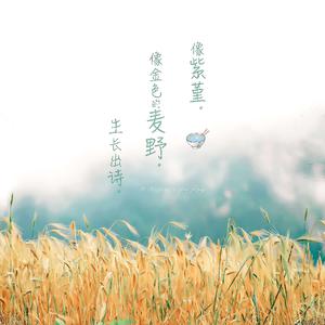 国产欧美日韩国产高清
