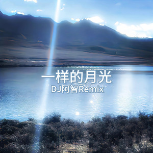 国产欧美日韩国产高清
