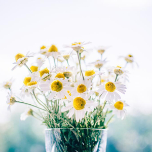 国产欧美日韩国产高清
